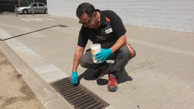 Tratamiento de un imbornal con larvicida