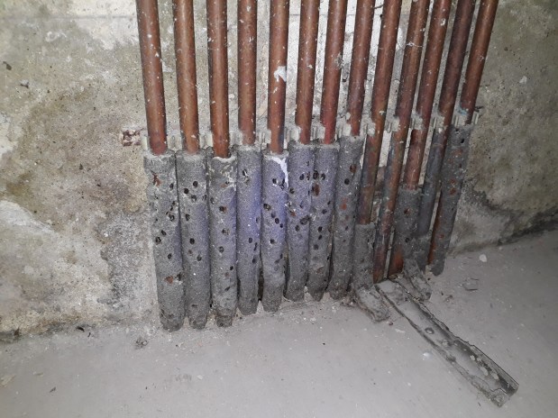 Ootecas de Periplaneta&nbsp;Americana